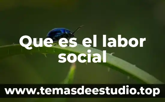Que es el labor social