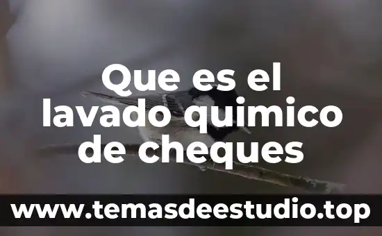 Qué es el miniequivalente químico 3 Que es el lavado quimico de cheques