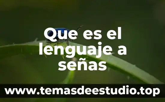 Lenguaje de señas que es 3 Que es el lenguaje a señas