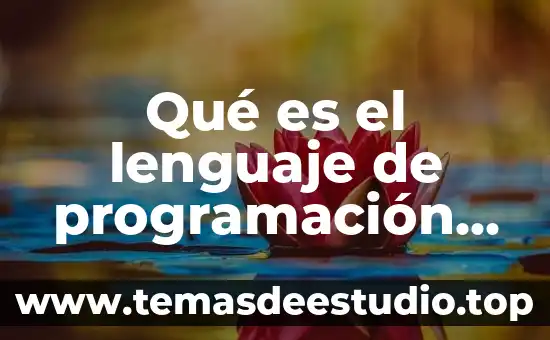 Qué es el lenguaje de programación arduino