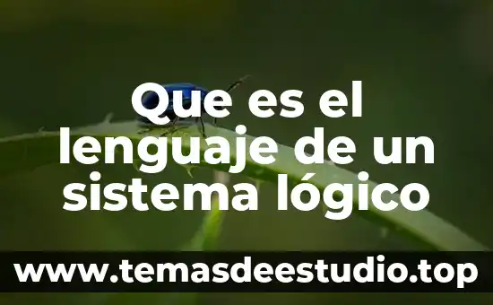 Que es el lenguaje en la danza 6 Que es el lenguaje de un sistema lógico