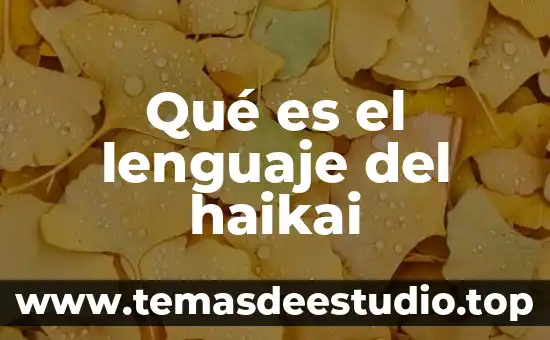 Qué es el lenguaje del haikai