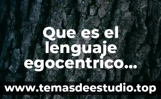 Que es el lenguaje egocentrico segun piaget
