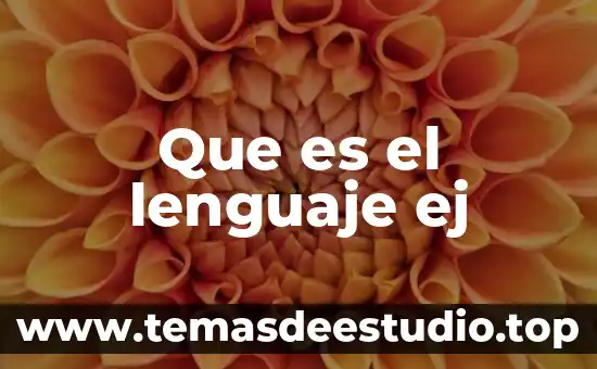 Que es el lenguaje ej
