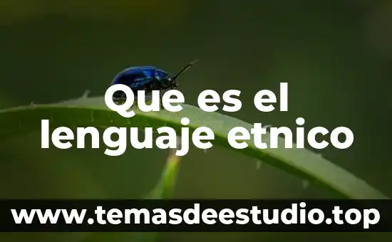 Que es el lenguaje etnico