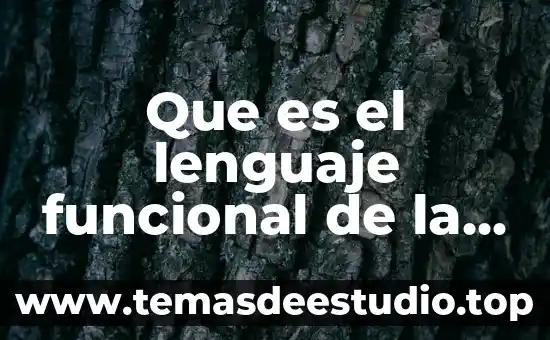 Qué es una forma funcional en econometría 3 Que es el lenguaje funcional de la alegria