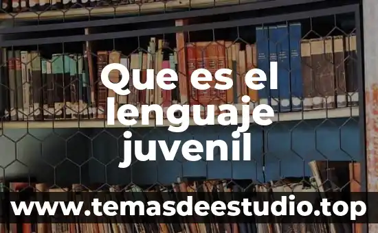 Que es el lenguaje juvenil
