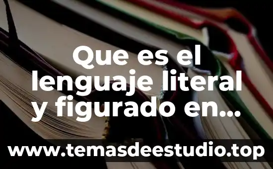 Que es el lenguaje literal y figurado en los poemas