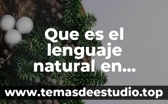 Que es el lenguaje natural en aprender un idioma