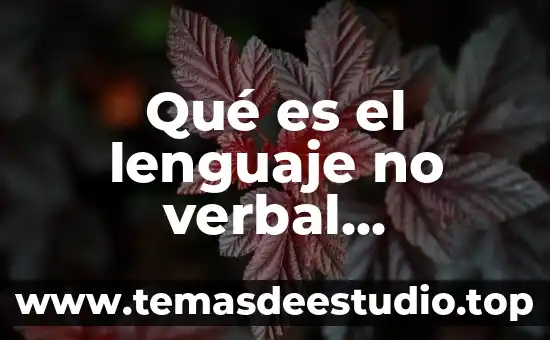 Qué es el lenguaje no verbal definición