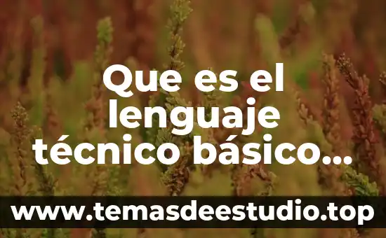 Que es el lenguaje en la danza 8 Que es el lenguaje técnico básico de la física