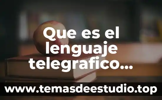 Que es el lenguaje infantil segun vigotsky 3 Que es el lenguaje telegrafico infantil
