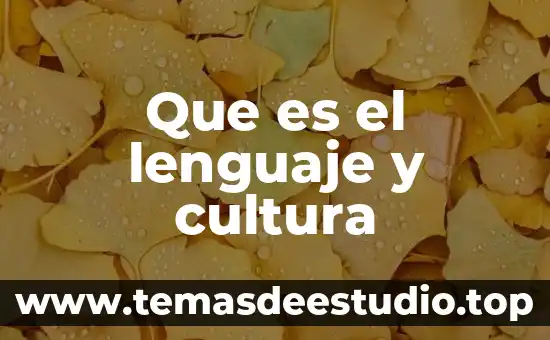 Qué es presunción de verdad ejemplos 6 Que es el lenguaje y cultura