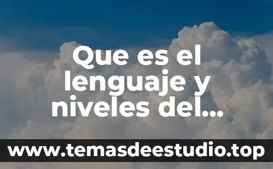 Qué es el imc niveles 5 Que es el lenguaje y niveles del lenguaje