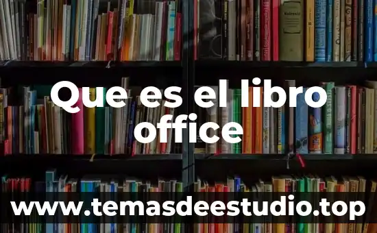 Que es el libro office