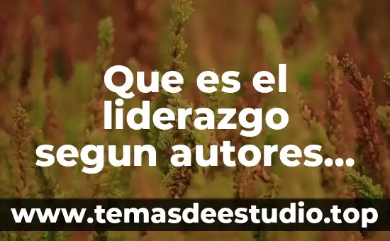 Autores explican que es un weblog 5 Que es el liderazgo segun autores reconocidos