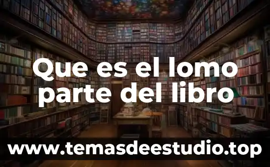 Que es el lomo parte del libro