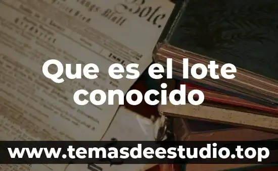 Concepto de que es lote por lote en inventarios 8 Que es el lote conocido