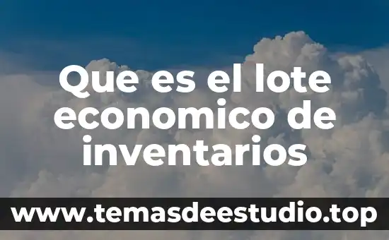 Concepto de que es lote por lote en inventarios 5 Que es el lote economico de inventarios