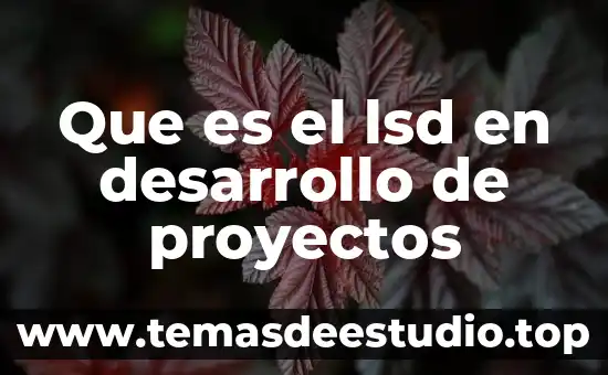 Que es el desarrollo informal criminal 3 Que es el lsd en desarrollo de proyectos