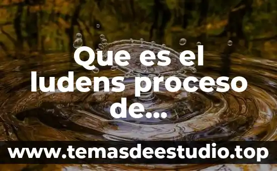 Que es el ludens proceso de hominizacion