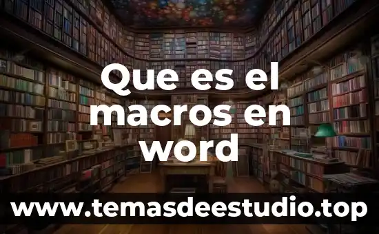 Que es el macros en word