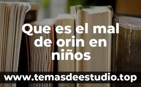 Que es un lay out de la planta 3 Que es el mal de orin en niños