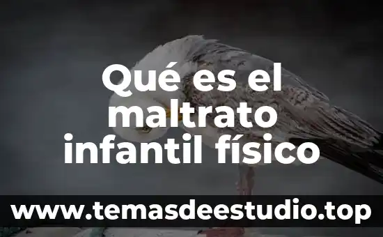 El maltrato animal que es 8 Qué es el maltrato infantil físico