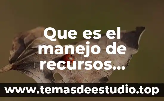Que es recursos terciarios 5 Que es el manejo de recursos economicos