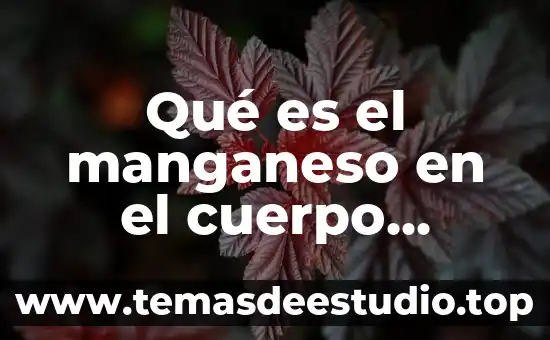 Qué es el manganeso en el cuerpo humano