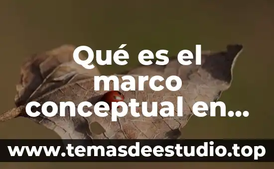 Que es un mapa conceptual ncep 5 Qué es el marco conceptual en las NIF