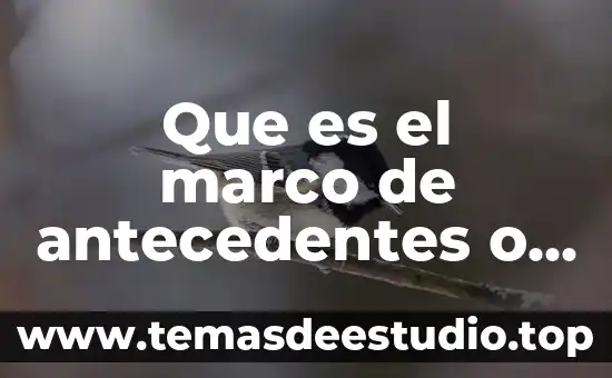 Que es el marco de antecedentes o estado del arte