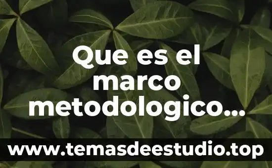 Que es el planteamiento del problema hernandez sampieri 5ta edicion 4 Que es el marco metodologico segun sampieri