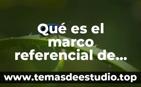 Que es citar una investigacion 7 Qué es el marco referencial de un proyecto de investigación