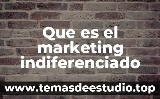 Que es el marketing indiferenciado