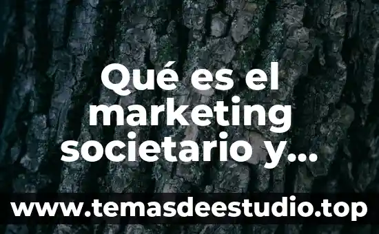 Que es significa fin social 7 Qué es el marketing societario y social