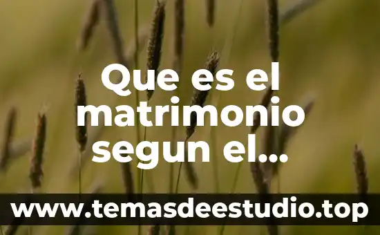 Que es un movimiento cristiano 3 Que es el matrimonio segun el pensamiento cristiano
