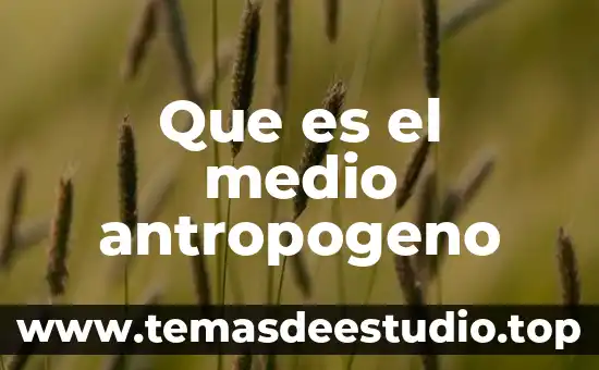 Ynbestigar que es un medio sosia 5 Que es el medio antropogeno