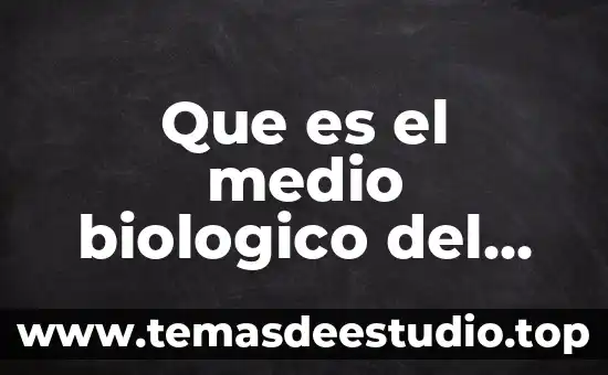 Que es el medio biologico del ser humano