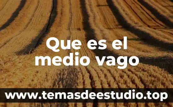 Que es el medio vago