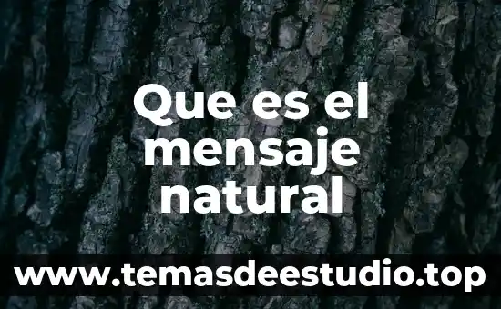 Qué es y para qué nos sirve flor de calendula 5 Que es el mensaje natural