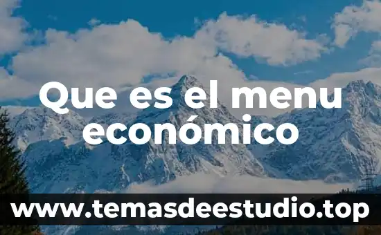 Que es el neoestructuralismo economico 8 Que es el menu económico