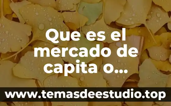 Que es el mercado de capita o accionario