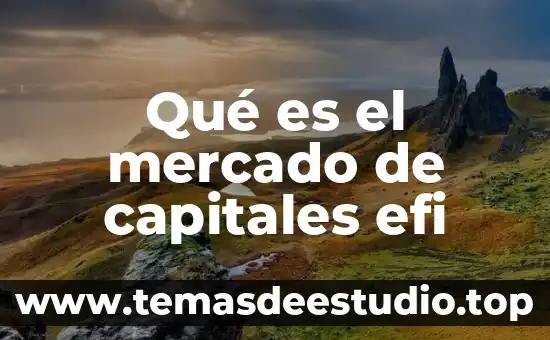 Qué es el mercado de capitales efi