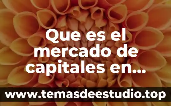 Que es el mercado de capitales en venezuela