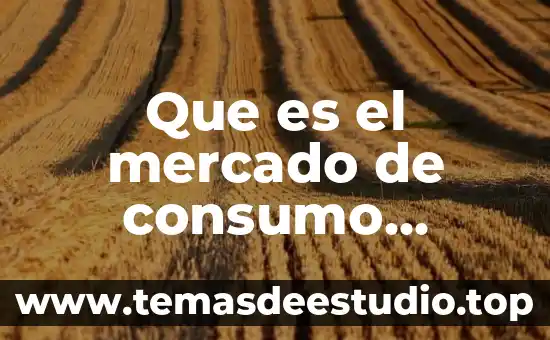 Que es el mercado de consumo nacional