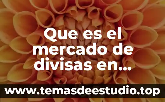 Que es el mercado de divisas en mexico