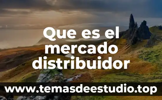 Que es escasez existente en un mercado 8 Que es el mercado distribuidor