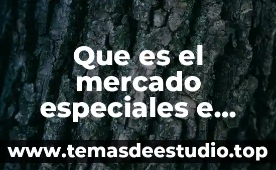 Que es delimitar el mercado 8 Que es el mercado especiales e irregulares