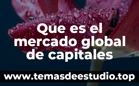 Que es el mercado global de capitales